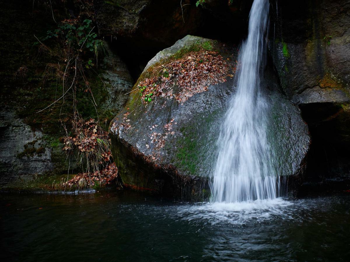 Apartament U Kosti - Bohemian Switzerland Decin Zewnętrze zdjęcie